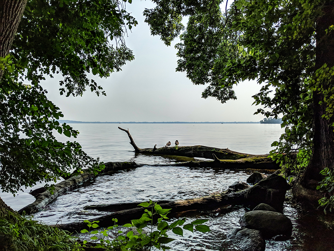 Desks on Lake Mendota at UW Lakeshore Preserve