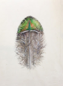 Peacock feather painting