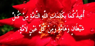 Aku berlindung kepada Allah untukmu berdua dengan kalimat-kalimat Allah yang sempurna, dari segala syaitan, binatang yang berbisa dan pandangan mata yang menimpanya