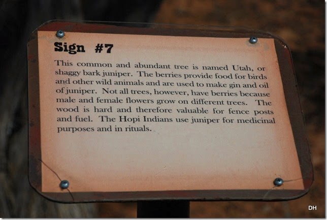 09-24-14 Rim Tour Pinetop (48)