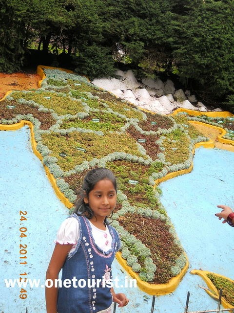 ooty botnical garden , tea factory , tea making , tamilnadu , india 