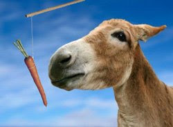 Motivate using carrot and stick - donkey against blue sky