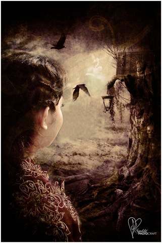 tree house of raven