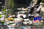 Limbah Sampah Di Sungai Situbondo Ancam Sarpras