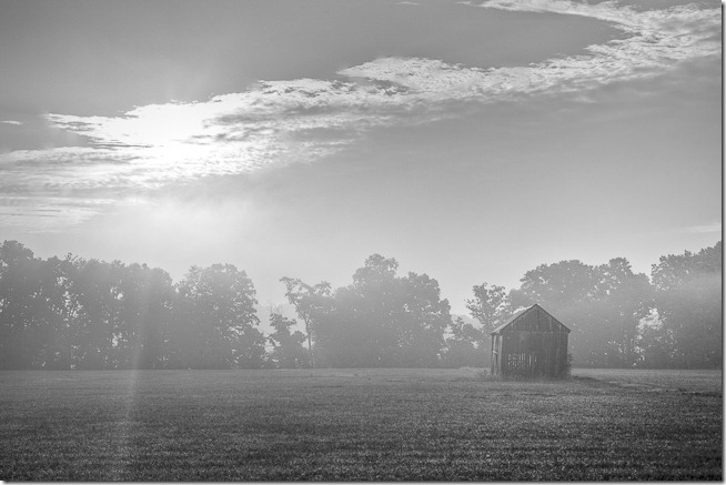 Barn the Mist
