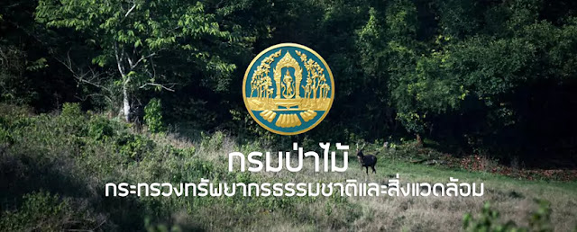 กรมป่าไม้ ประกาศรับสมัครสรรหาและเลือกสรรเป็นพนักงานราชการ 61 อัตรา ตั้งแต่วันที่  8 - 15 กุมภาพันธ์ 2566