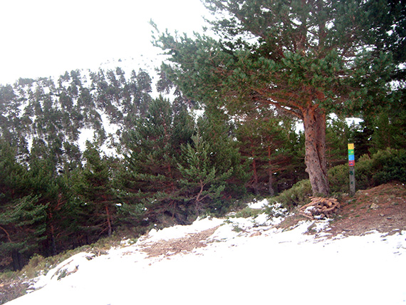 Así fue nuestra Ruta del puerto de Cotos a Colmenar Viejo. Noviembre 2012