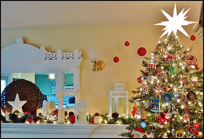 2021 Christmas Tree 024 (800x544)