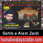 http://www.humaliwalayazadar.com/2015/10/sahib-e-alam-zaidi-nohay-2016.html