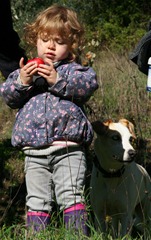 Apple-&-Bugsy
