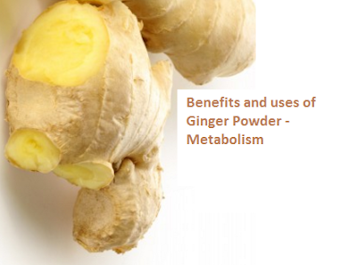 Benefits and uses of Ginger Powder - Metabolism