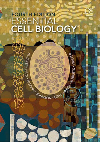 Test Bank For Essential Cell Biology 4th E By Alberts
