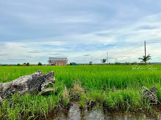 desastay santai d sawah