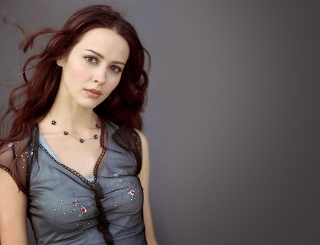 Amy Acker HD Wallpapers Free Download