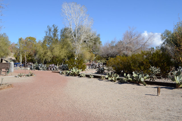 native plant garden