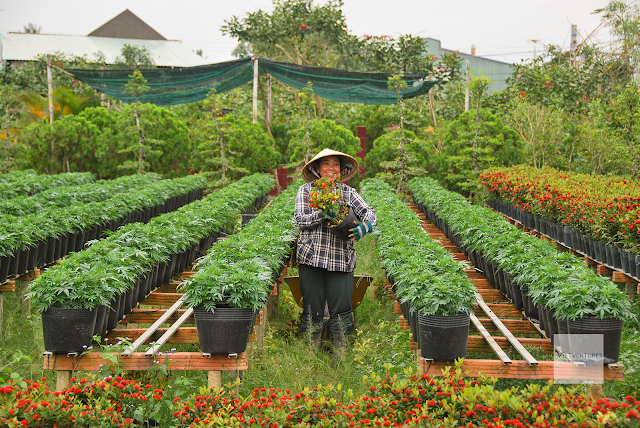 Làm thì có mệt, nhưng cười thì rất tươi