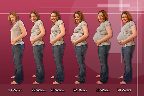 Pics Of 10 Weeks Pregnant. two weeks of pregnancy