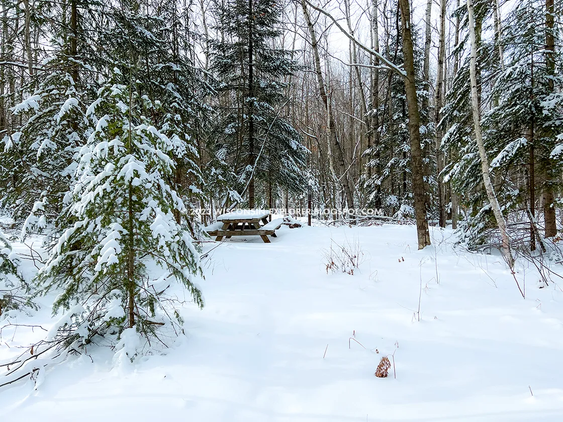 Snow covered dispersed campsite