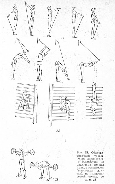 Общеразвивающие упражнения комплексно­го воздействия на различные группы мышц с эспандером (эластичным жгу­том), на гимнасти­ческой стенке, со штангой