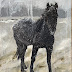 Wild Horse in Snow Flurries