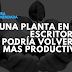 Una planta en tu escritorio podría volverte más productivo