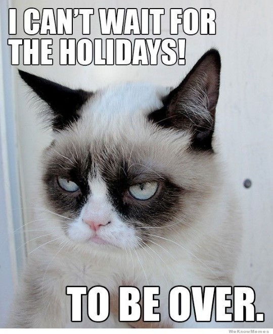 Grumpy Cat Memes