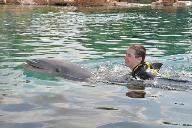 Bulldozer swimming with dolphin at Discovery Cove