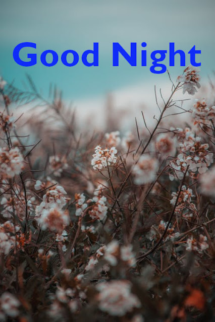 Latest Best Good Night Images