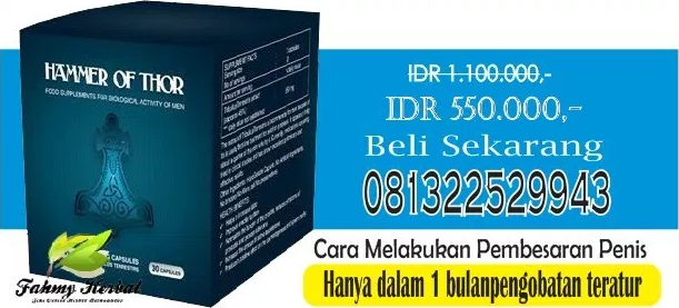 Cara Pemesanan Obat Kuat Herbal Hammer Of Thor