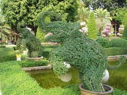 Nong Nooch Tropical Garden wonderfull