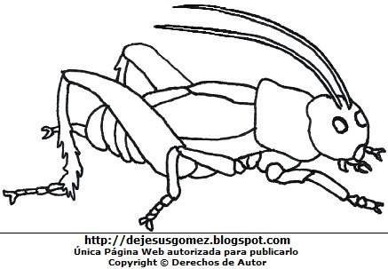 Dibujo de un grillo para colorear o pintar, grillo hecho por Jesus Gómez
