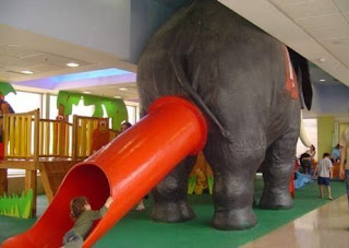 This Elephant Got Really Fatty Ass