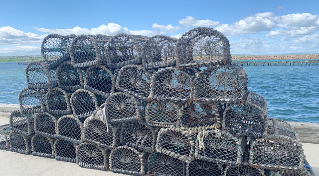 lobster pots amble harbour