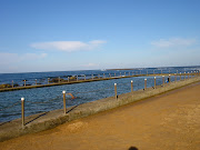 Swimming Along (Most Of) The Northern Beaches