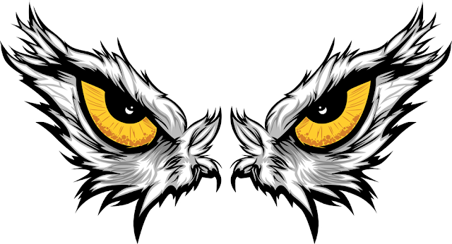 Cartoon Vector Mascot Image of an Eagle Eyes