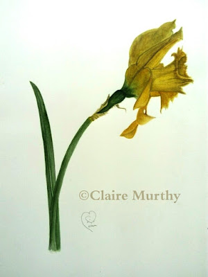 traditional art daffodil painting