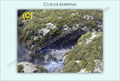 Cueva marina en la Península de Paraguaná