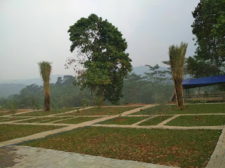 Kebun kurma di Kp. Rengganis, Desa Cintamanik, Cigudeg, Bogor Barat