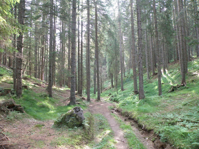 Alja Kouh Pokljuka barja 23 8 2013 