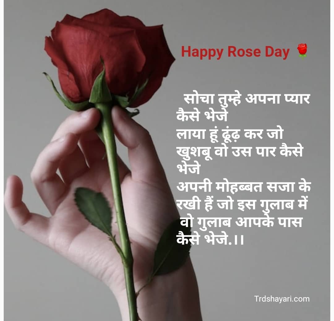 Rose Day Shayari 2023 || Romantic Happy Rose Day Shayari- (रोज ...