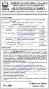 Latest Jobs Opportunities University of Agriculture Faisalabad-May-2022