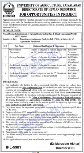 Latest Jobs Opportunities University of Agriculture Faisalabad-May-2022