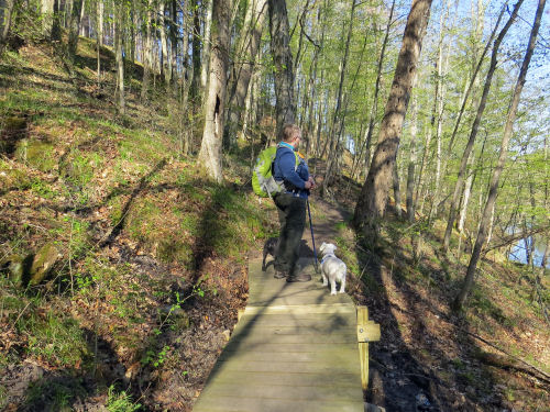 small trail bridge