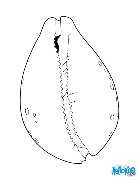 Bubble Shell Bubble Shell Coloring Page