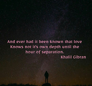 Love Quote by Khalil Gibran