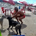 Os animais merecem o nosso respeito 