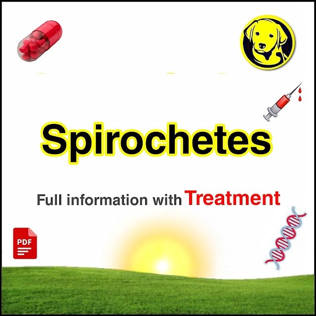 Free Download Spirochetes Full Pdf