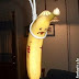 Banana funny pictures