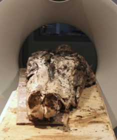 Fully Dressed 350 Year Old Body found in France