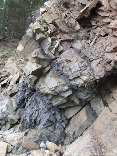 Mudstone, shale, coal and sandstone strata